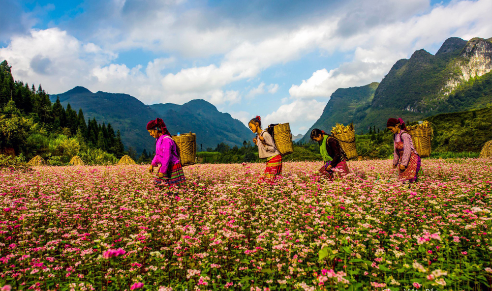 Giới thiệu về du lịch Hà Giang